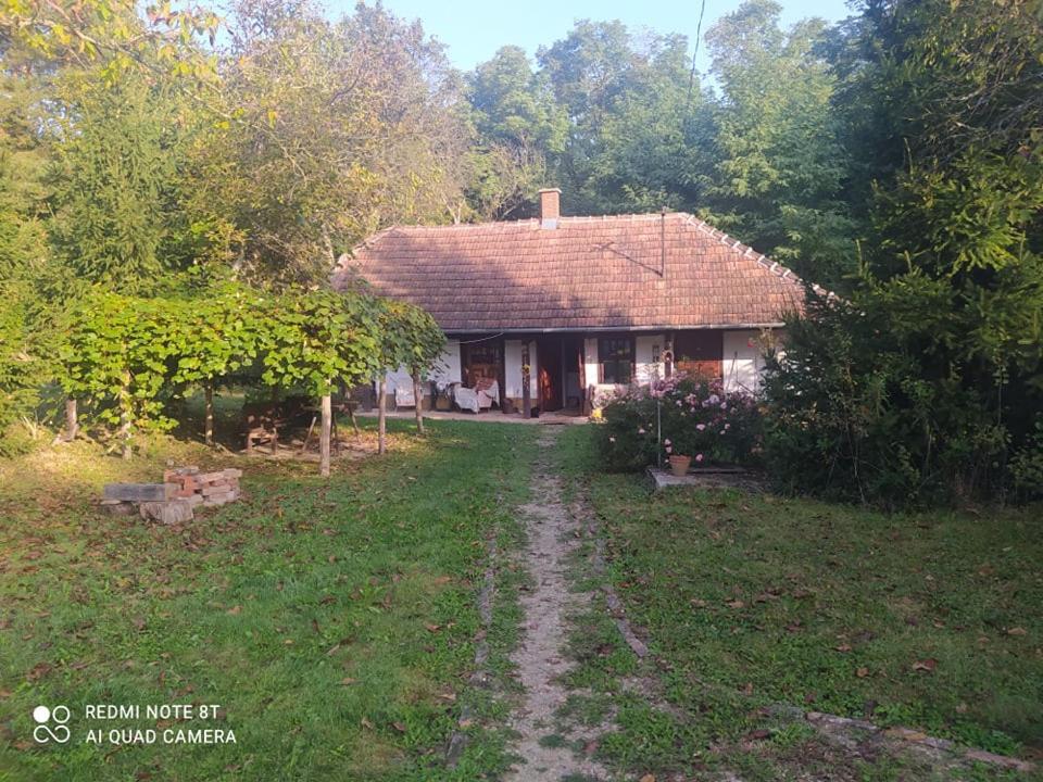 Fecskefészek Vendégház Őriszentpéter Esterno foto