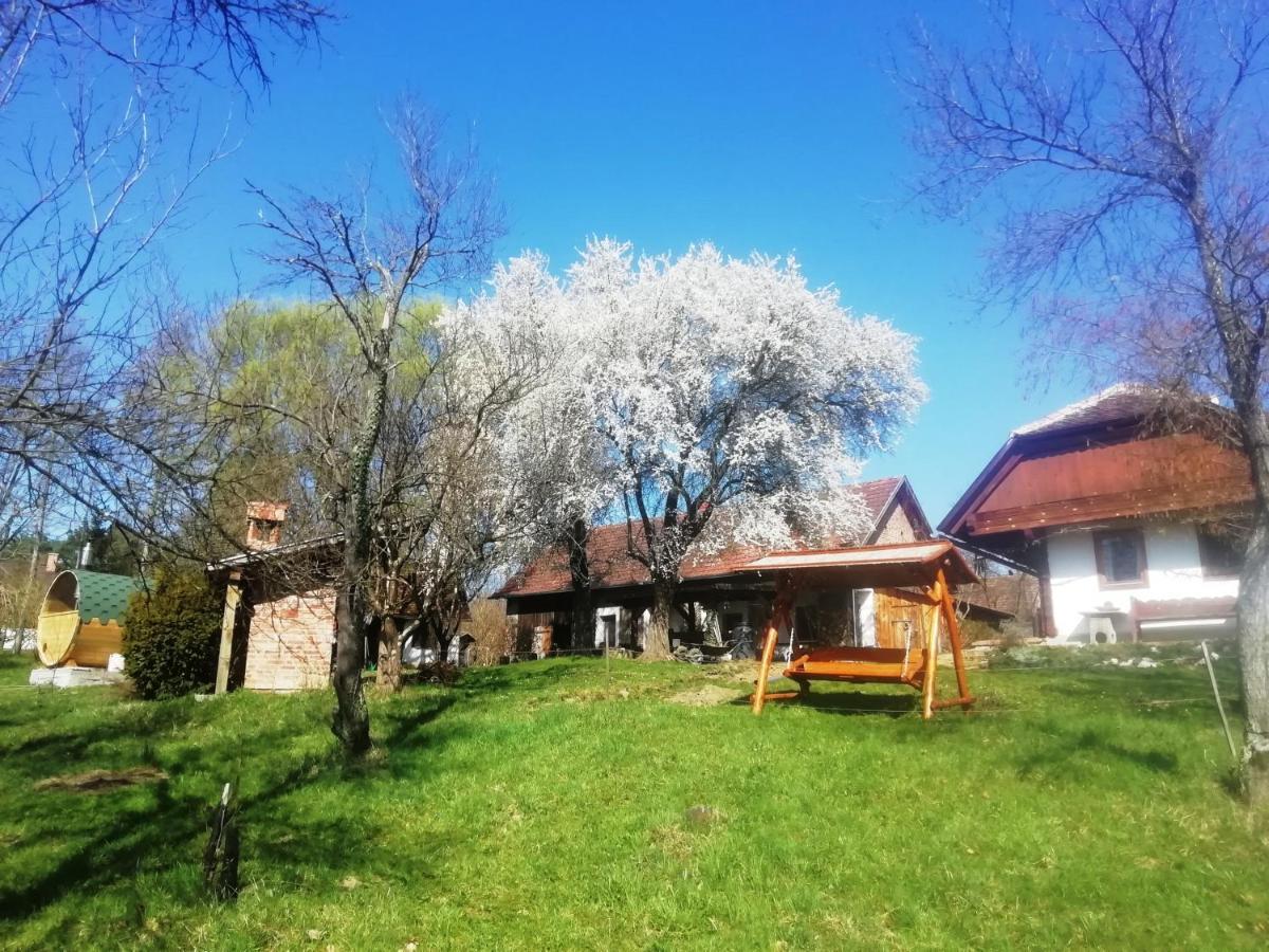 Fecskefészek Vendégház Őriszentpéter Esterno foto