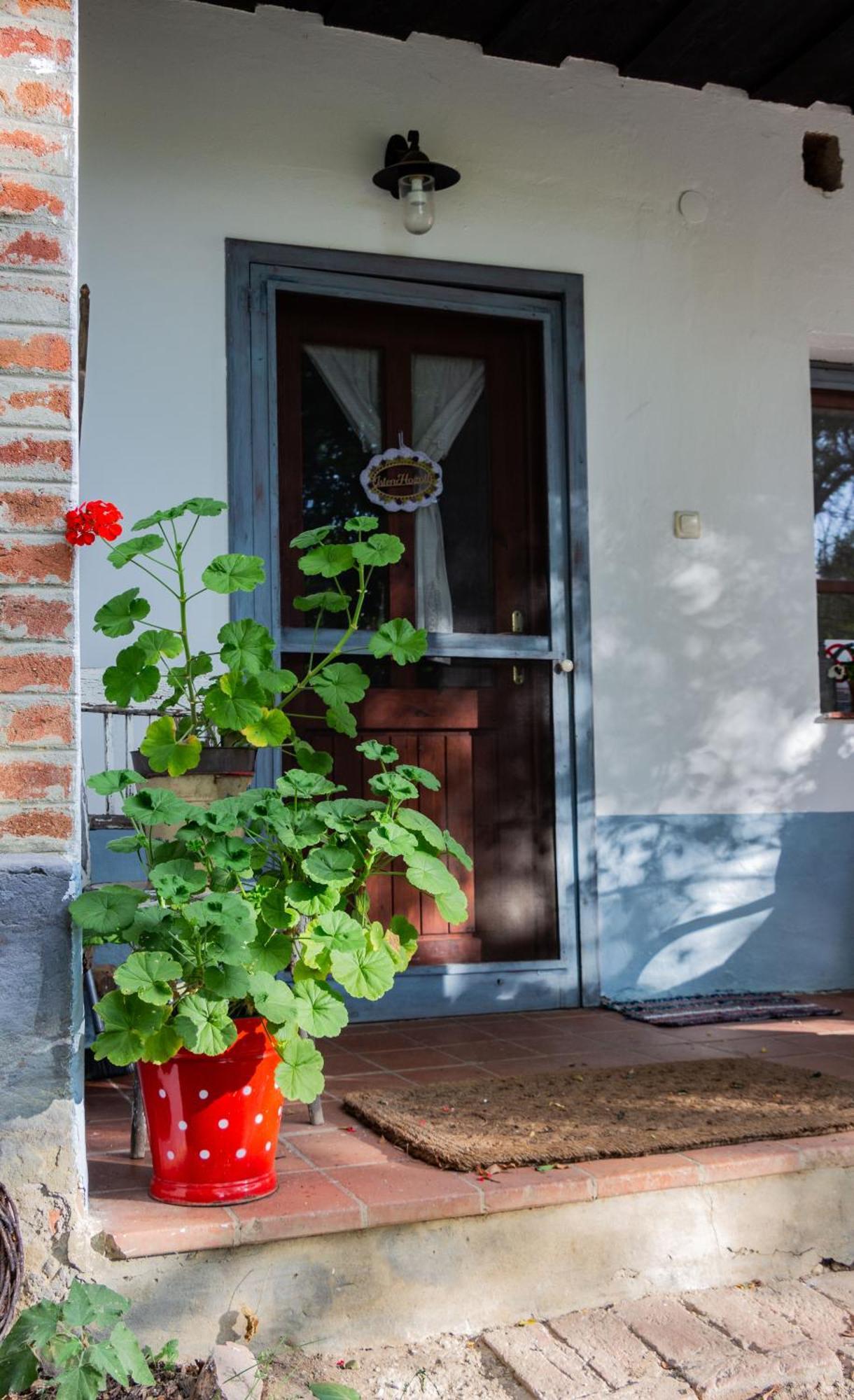 Fecskefészek Vendégház Őriszentpéter Esterno foto