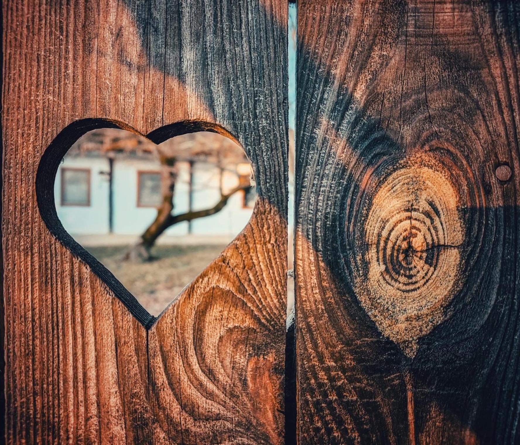 Fecskefészek Vendégház Őriszentpéter Esterno foto