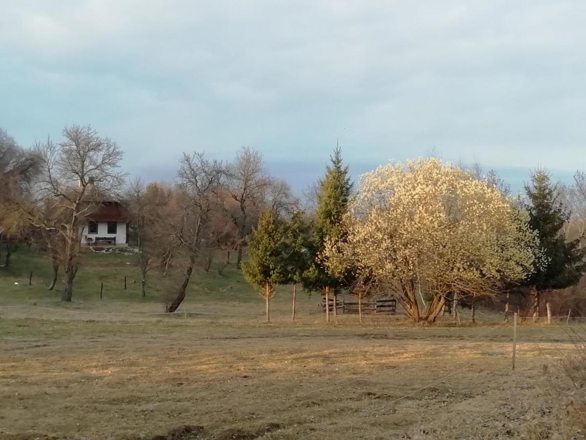 Fecskefészek Vendégház Őriszentpéter Esterno foto