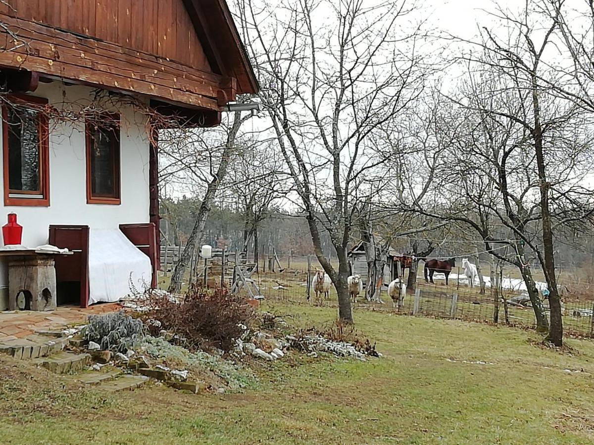 Fecskefészek Vendégház Őriszentpéter Esterno foto